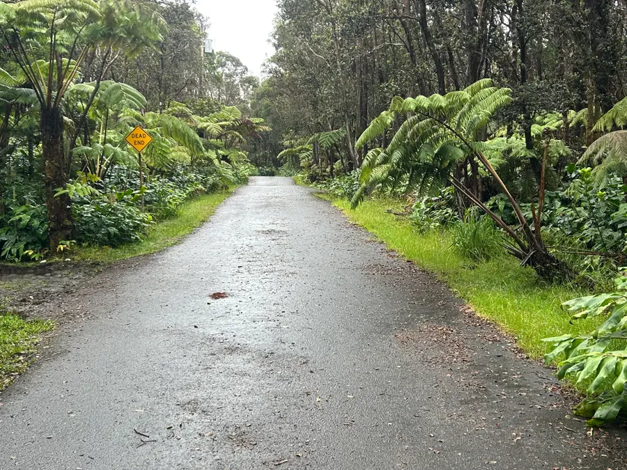 3rd St, Volcano, HI 96785 - #3