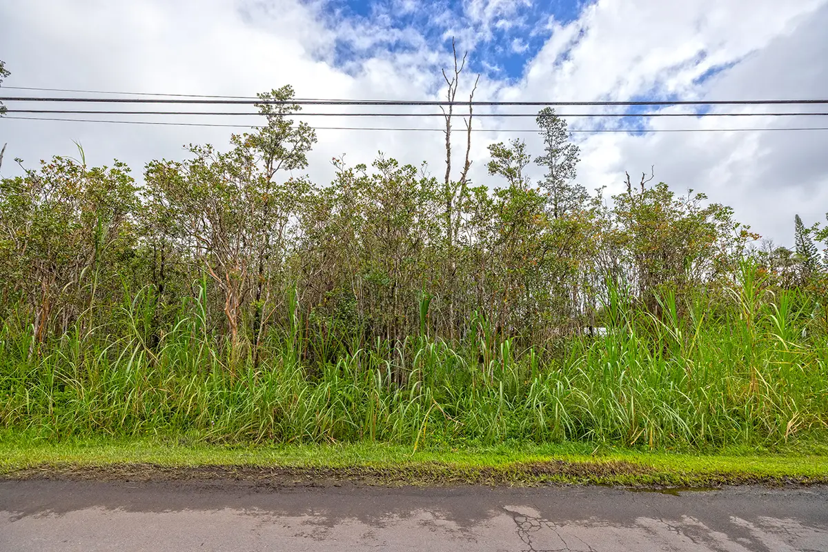 Plumeria St, Mountain View, HI 96771 - #1
