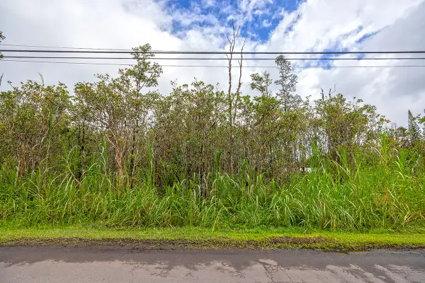 Plumeria St, Mountain View, HI 96771