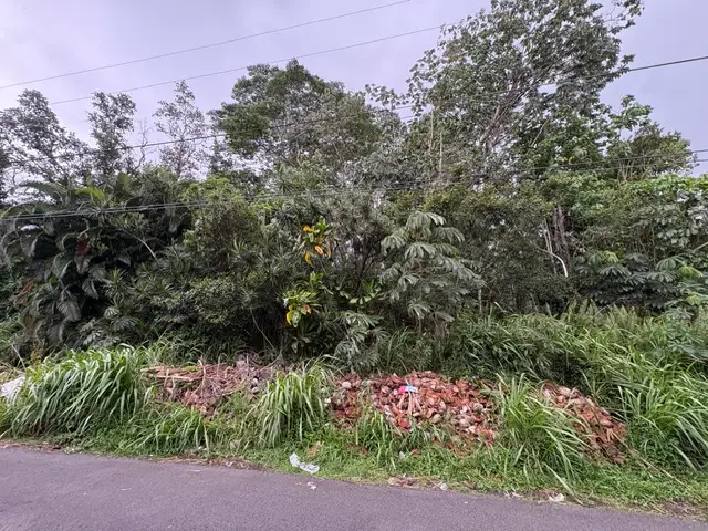 Iao St, Pahoa, HI 96778 - #1