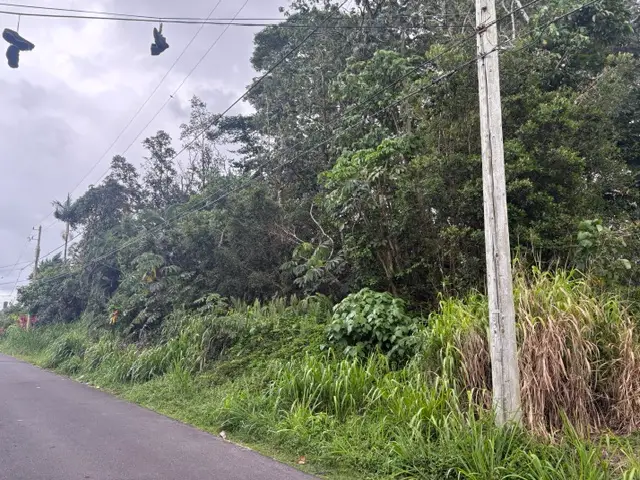 Iao St, Pahoa, HI 96778 - #3