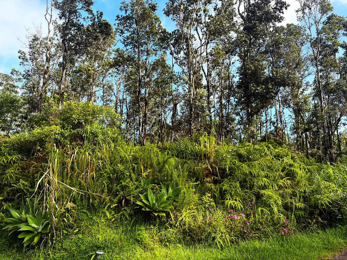 Kalapana St, Pahoa, HI 96778 - #1
