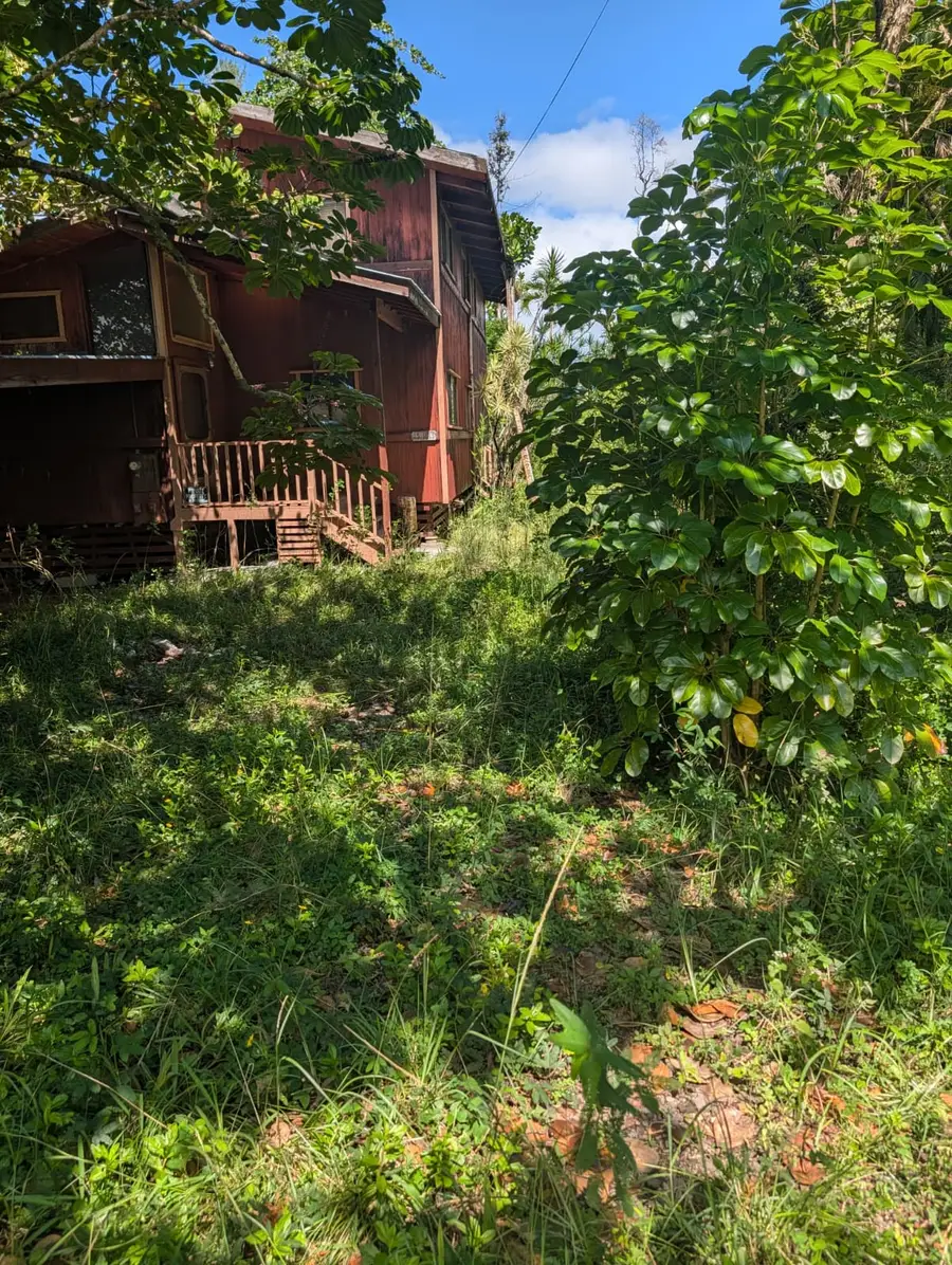 15-1011 Amau Rd, Keaau, HI 96749 - #3