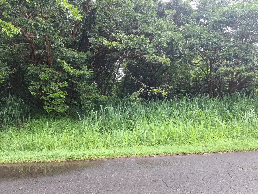 15-1353 27th Ave, Keaau, HI 96749 - #2