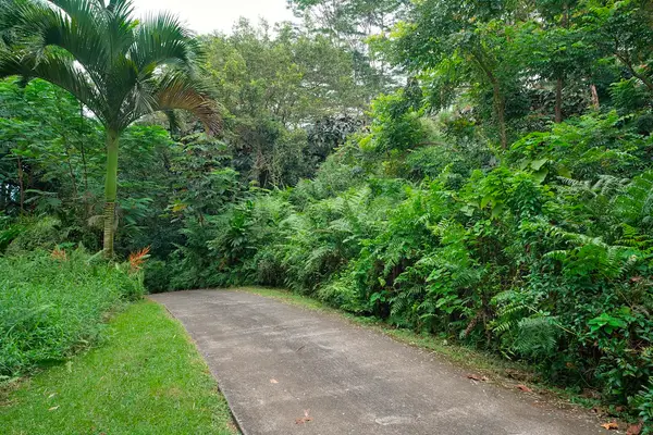 27-2430 Hawaii Belt Rd, Papaikou, HI 96781