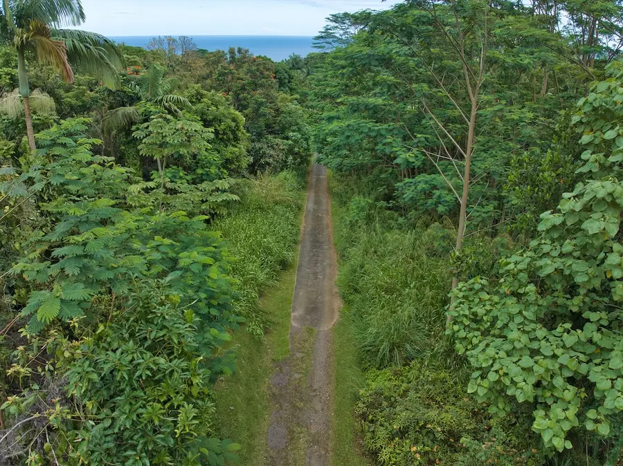 27-2430 Hawaii Belt Rd, Papaikou, HI 96781 - #2