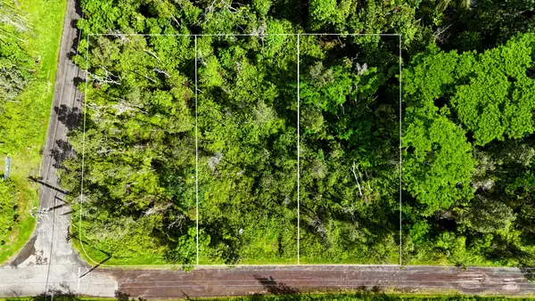 Forest Rd, Pahoa, HI 96778