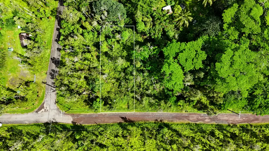 Forest Rd, Pahoa, HI 96778 - #2