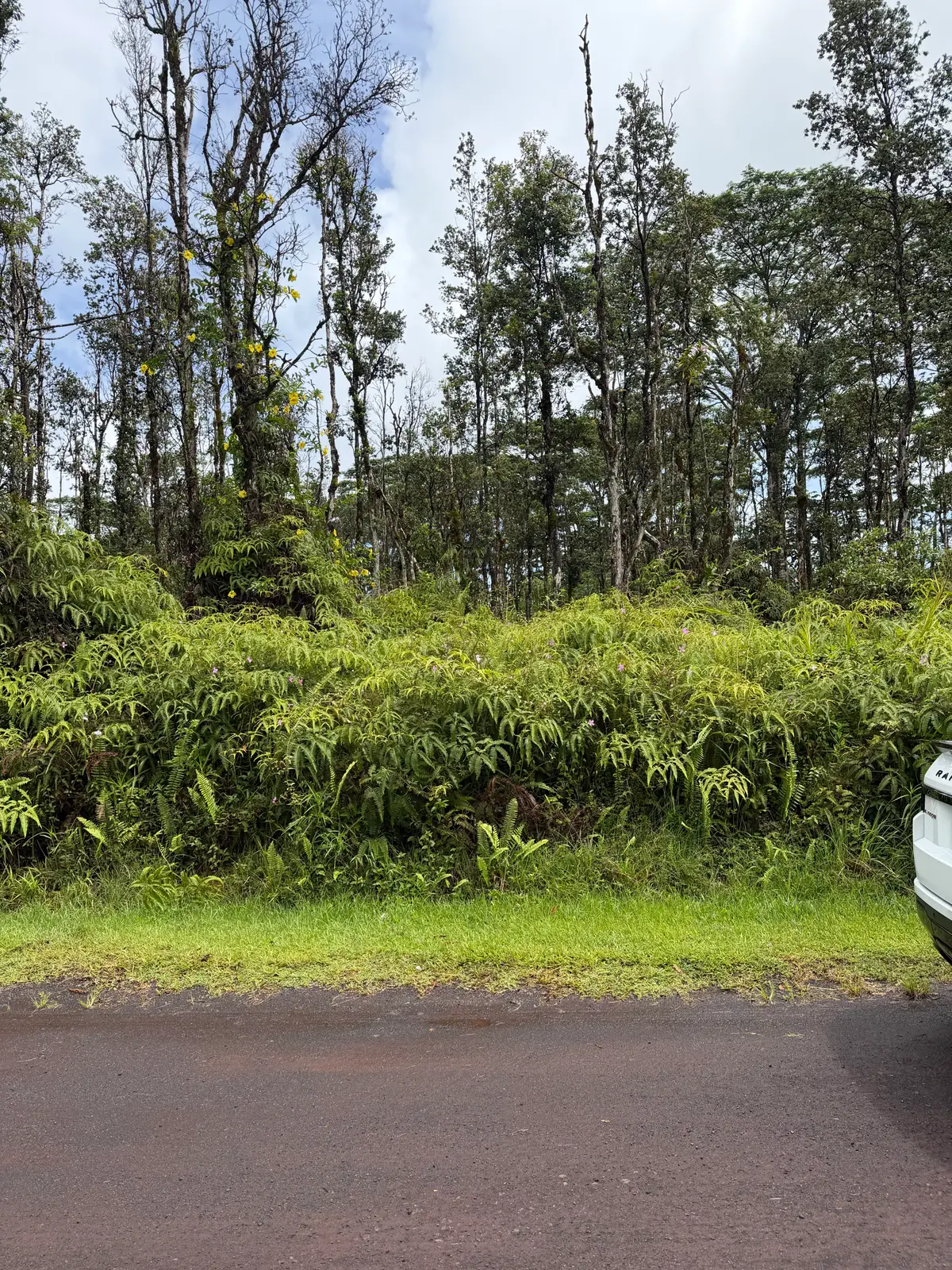 Flower Rd, Pahoa, HI 96778 - #1