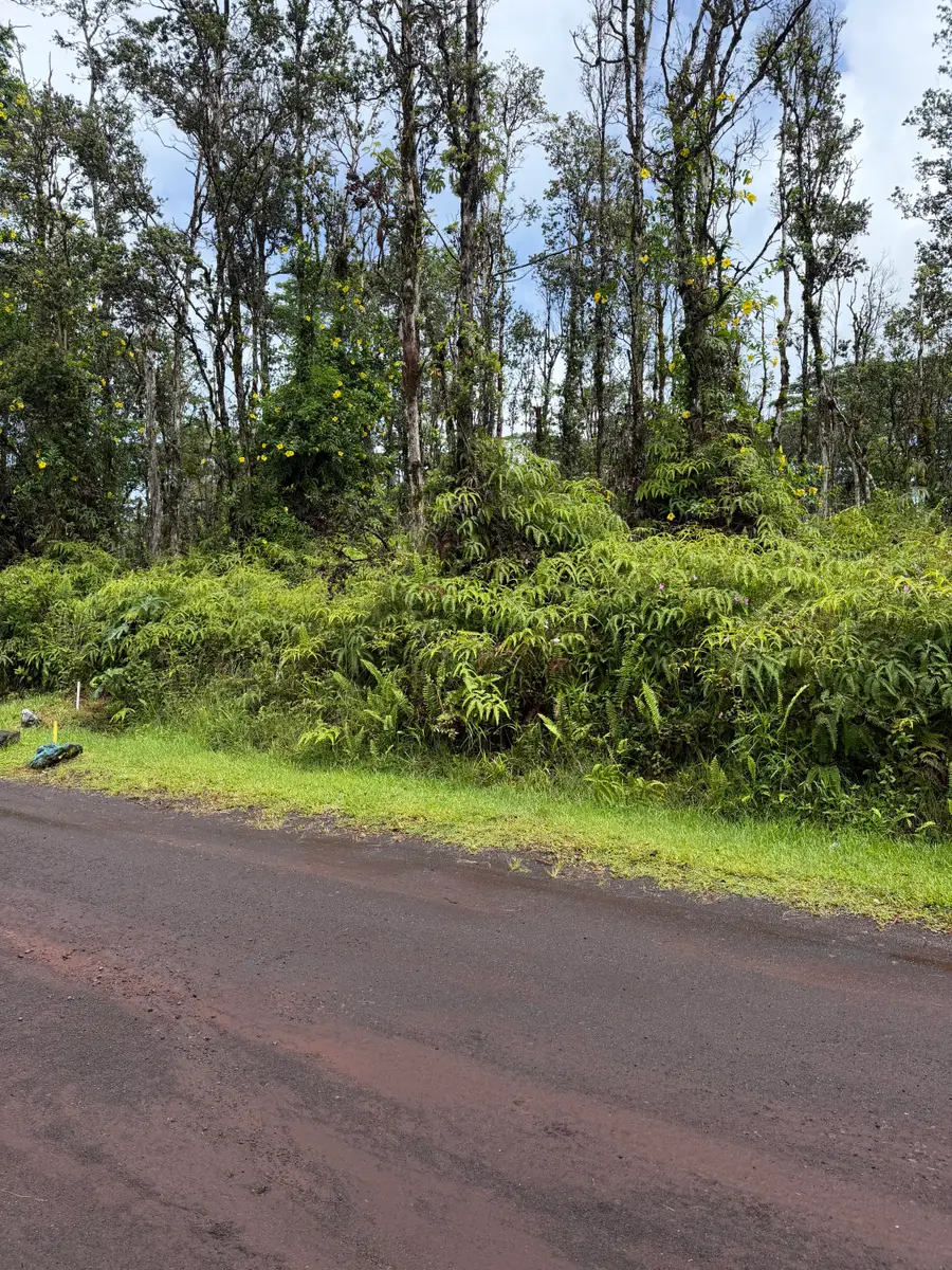 Flower Rd, Pahoa, HI 96778 - #3