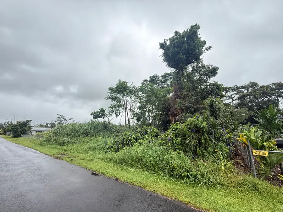 16-2142 Rainbow Dr, Pahoa, HI 96778 - #2