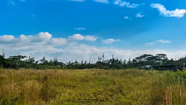 15-1764 7th Ave, Keaau, HI 96749