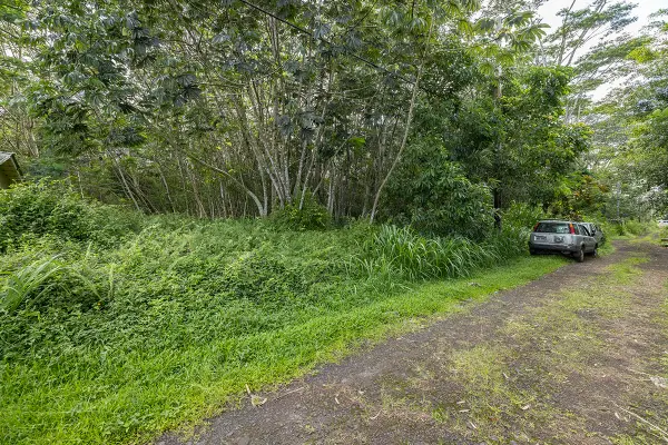 Pahoa Rd, Pahoa, HI 96778