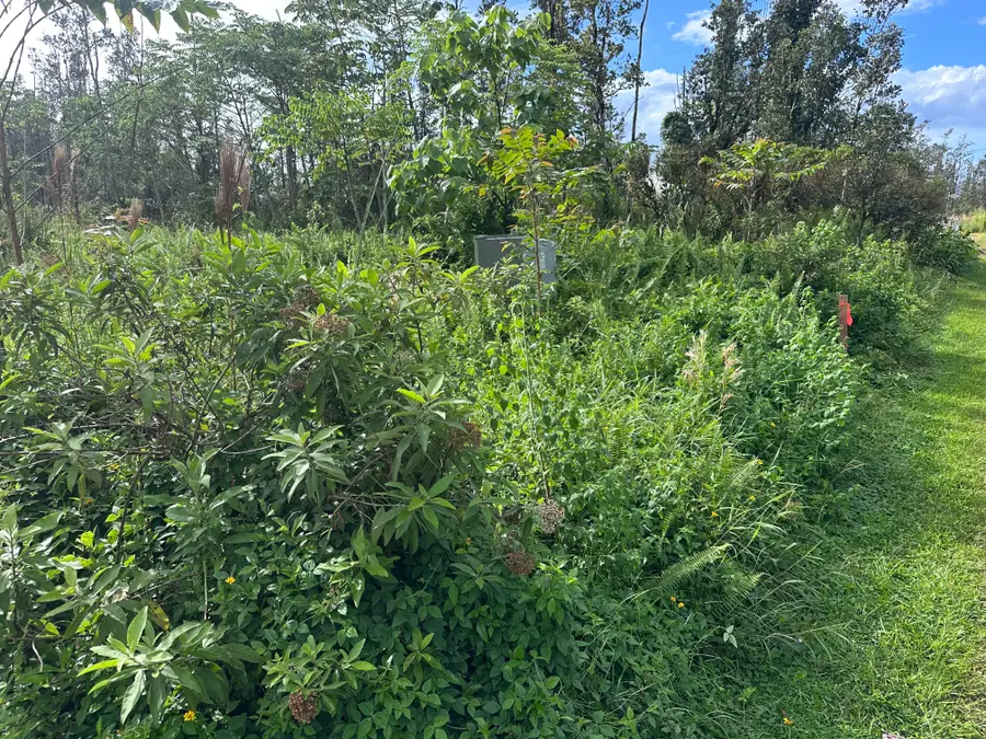 16-2116 Coral Dr, Pahoa, HI 96778 - #3