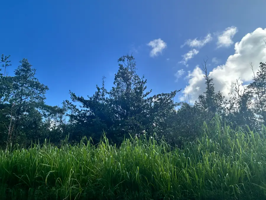 16-1947 37th Ave, Kurtistown, HI 96760 - #3