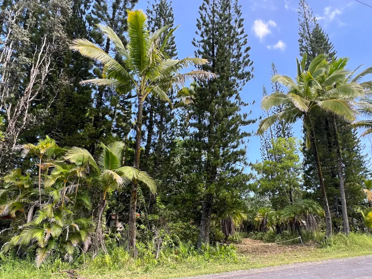 15-1659 14th Ave, Keaau, HI 96749 - #1