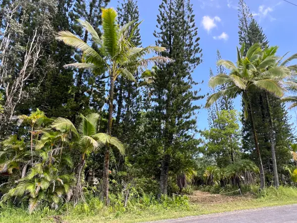 15-1659 14th Ave, Keaau, HI 96749