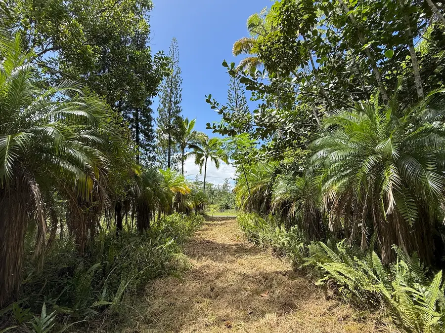 15-1659 14th Ave, Keaau, HI 96749 - #2