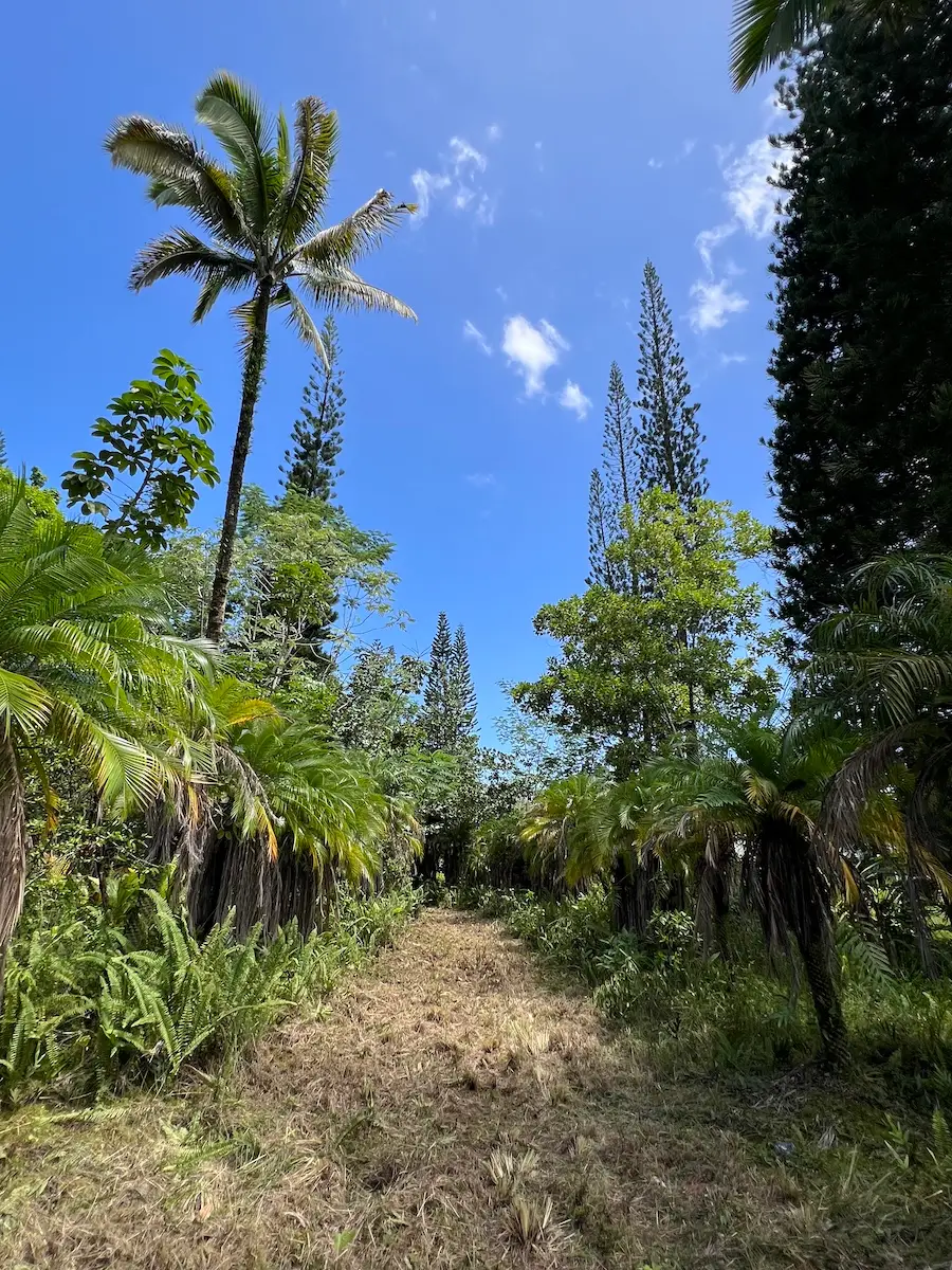 15-1659 14th Ave, Keaau, HI 96749 - #3