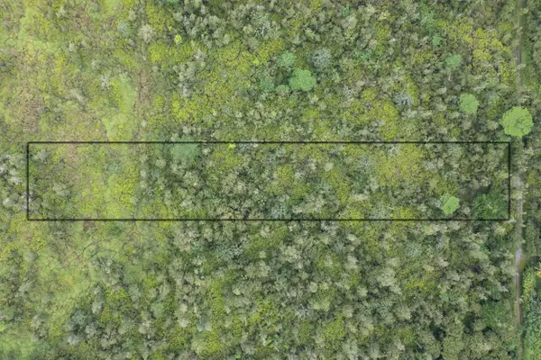 Road 10 (poouli), Kurtistown, HI 96760