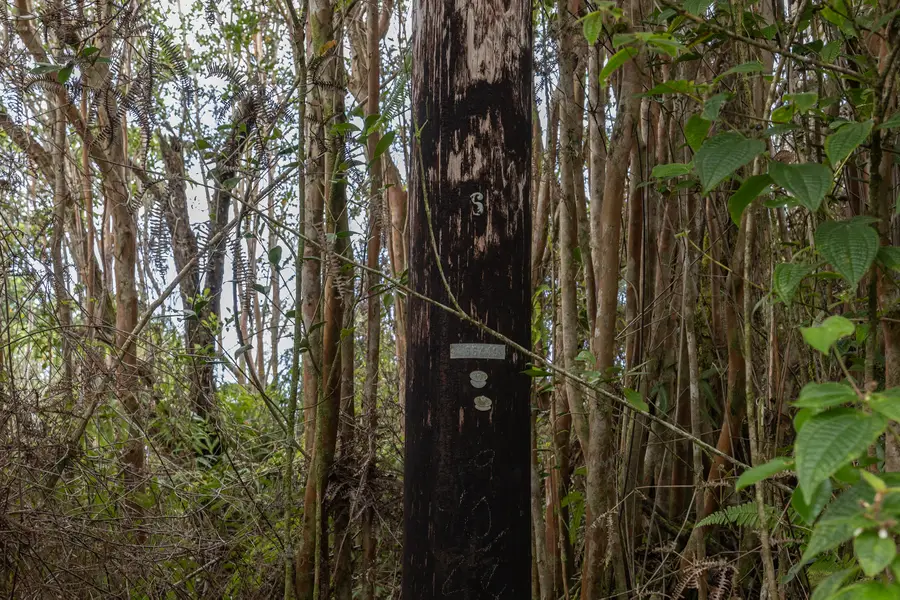 Road 10 (poouli), Kurtistown, HI 96760 - #2