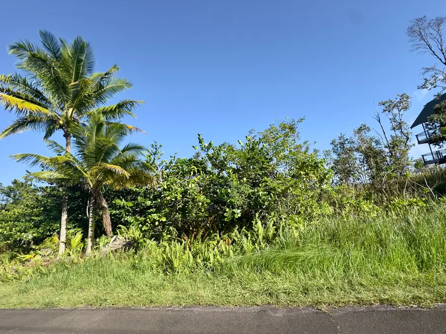 Oliana Dr, Pahoa, HI 96778 - #2