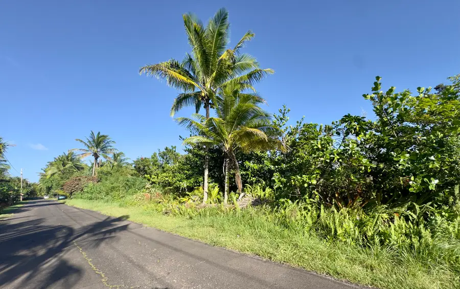 Oliana Dr, Pahoa, HI 96778 - #3
