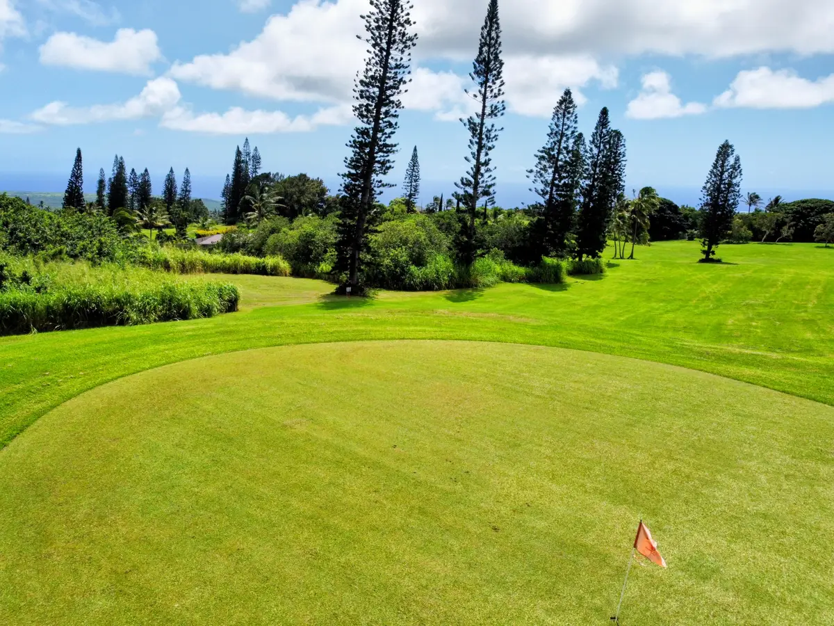 Lewa Lani Pl, Naalehu, HI 96772 - #1