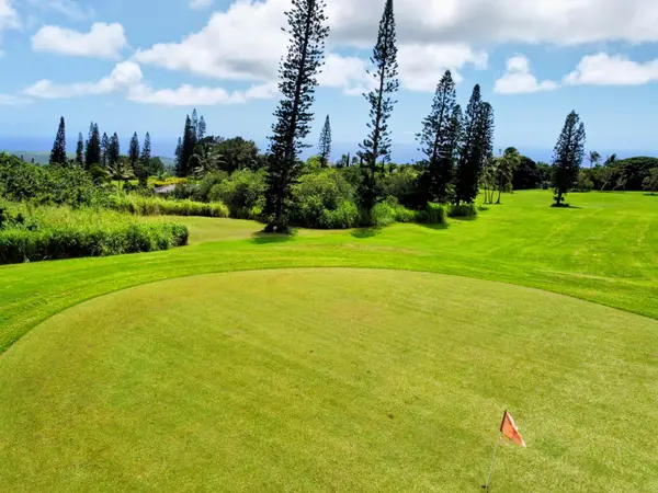 Lewa Lani Pl, Naalehu, HI 96772