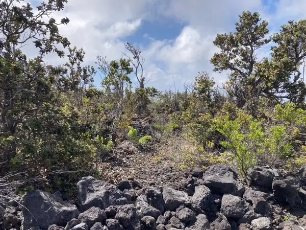 Poinciana Dr, Ocean View, HI 96737