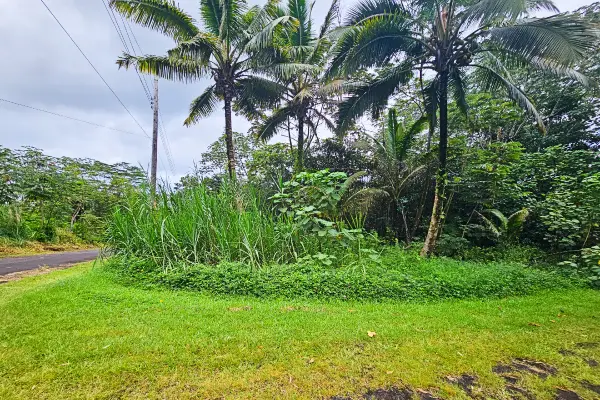 Seaview Rd, Pahoa, HI 96778