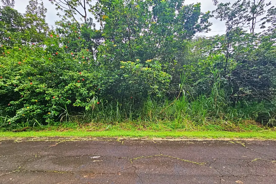 Seaview Rd, Pahoa, HI 96778 - #3