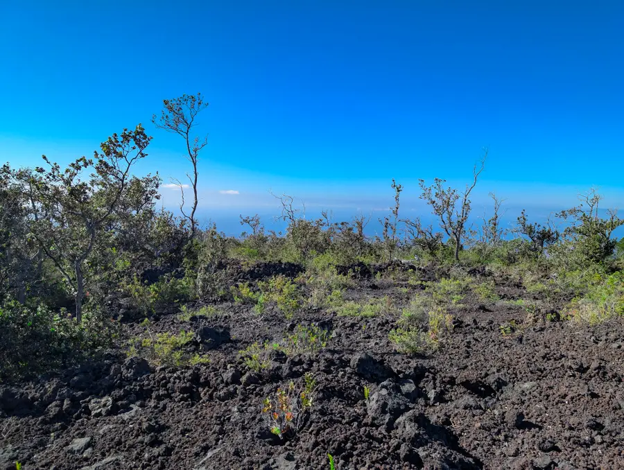 Reef Cir Makai, Ocean View, HI 96737 - #2