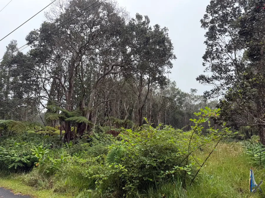 11-3885 2nd St, Volcano, HI 96785 - #2