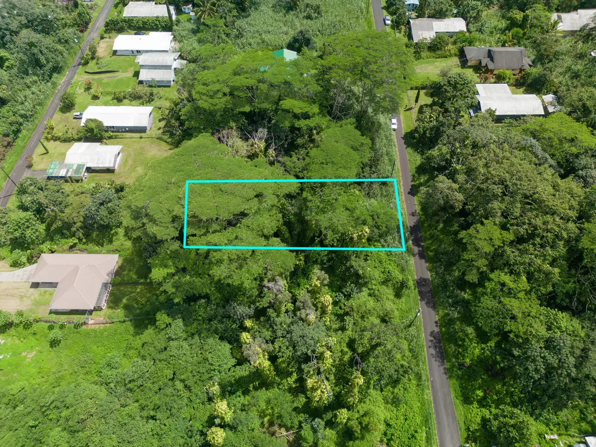 Moi St, Pahoa, HI 96778 - #1