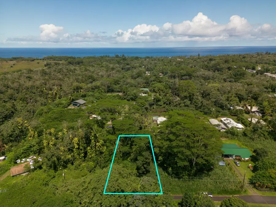 Moi St, Pahoa, HI 96778 - #2