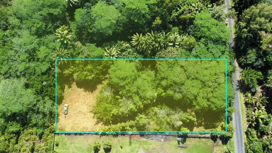 3rd Ave, Keaau, HI 96749 - #2