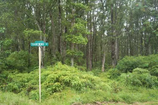 Tradewind Dr, Pahoa, HI 96778 - #3