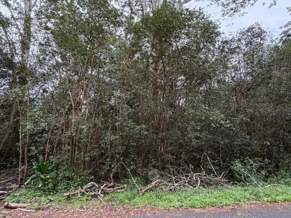 27th Ave, Keaau, HI 96749