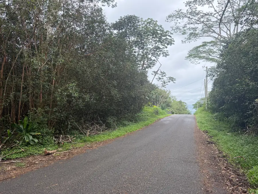 27th Ave, Keaau, HI 96749 - #2