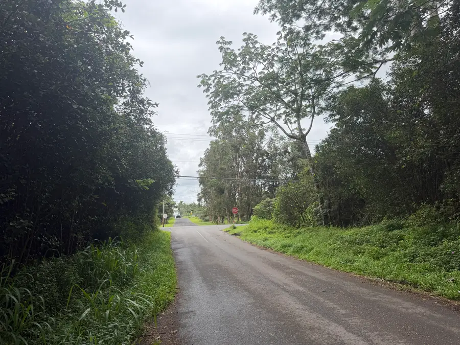 27th Ave, Keaau, HI 96749 - #3