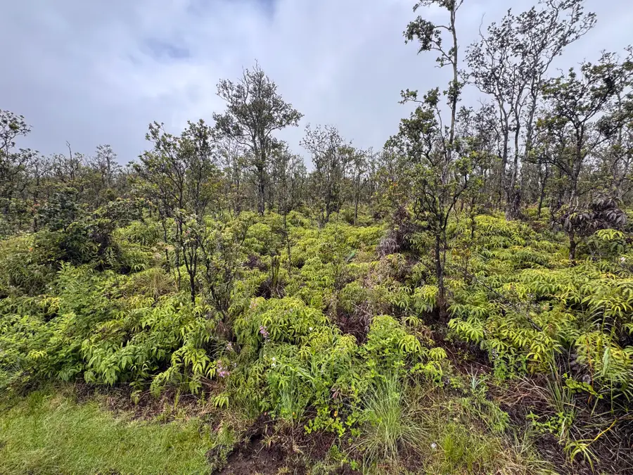 Noe Kuahiwi Rd, Volcano, HI 96785 - #2