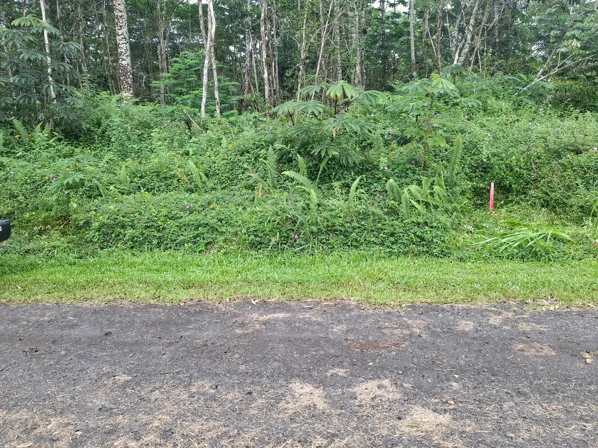 14-3458 Hilo Rd, Pahoa, HI 96778 - #1