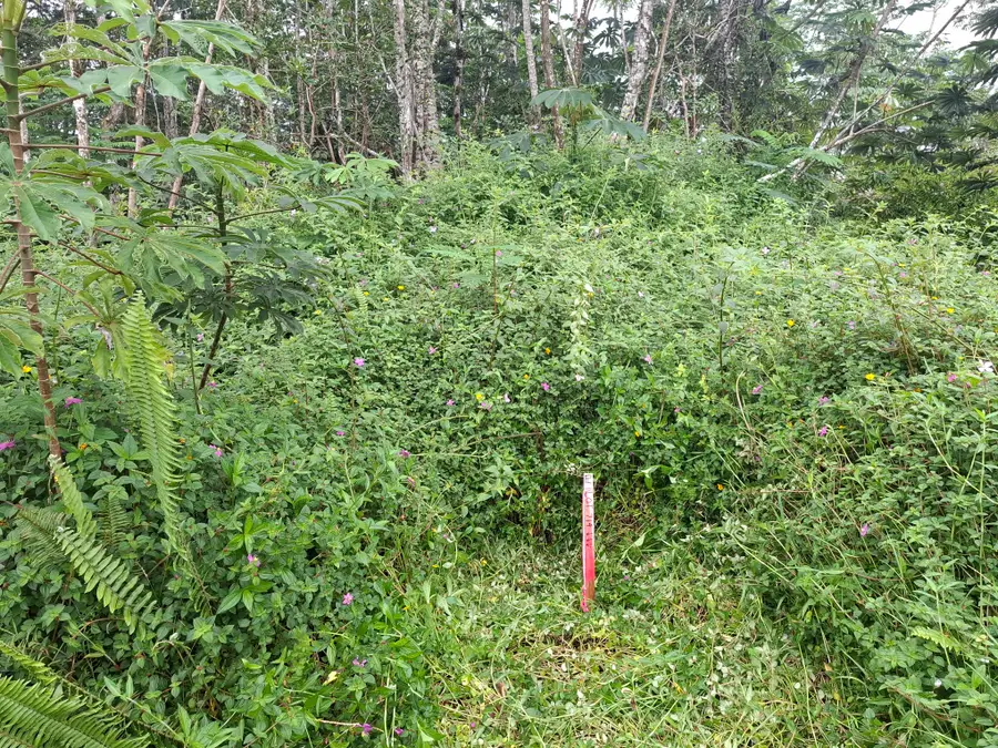 14-3458 Hilo Rd, Pahoa, HI 96778 - #2
