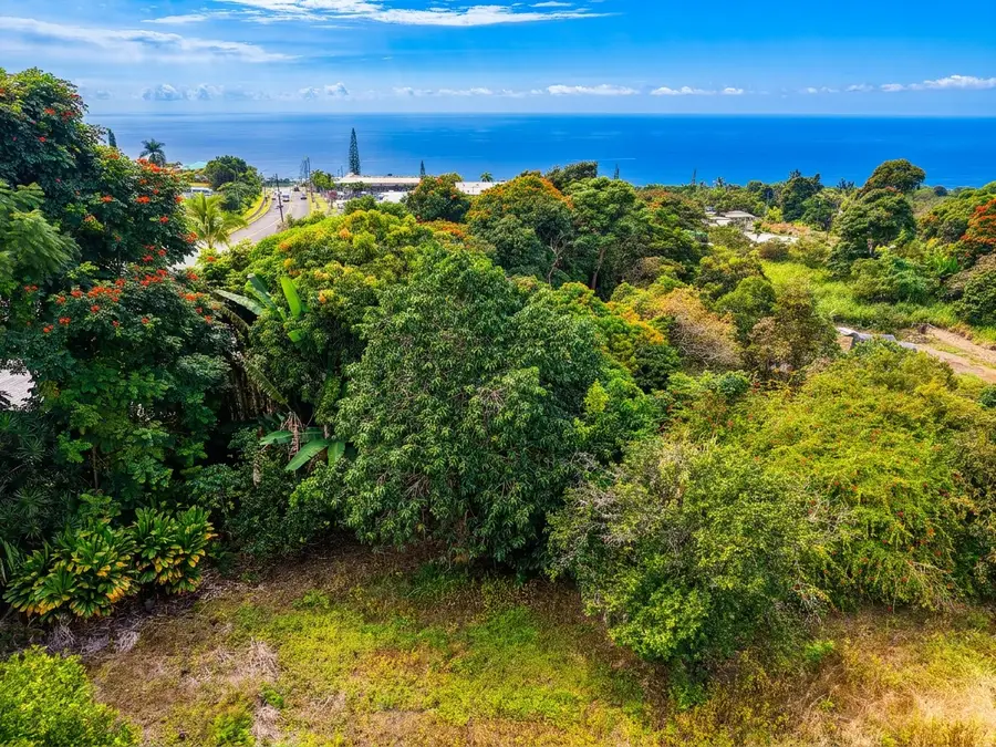 79-7606 Hawaii Belt Rd, Kealakekua, HI 96750 - #3