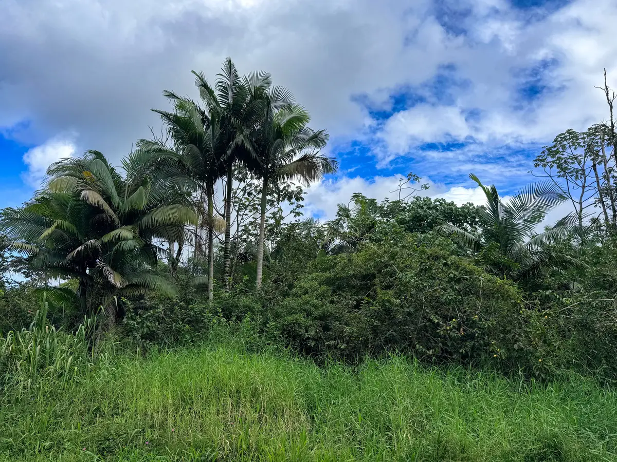 38th Ave, Kurtistown, HI 96760 - #1