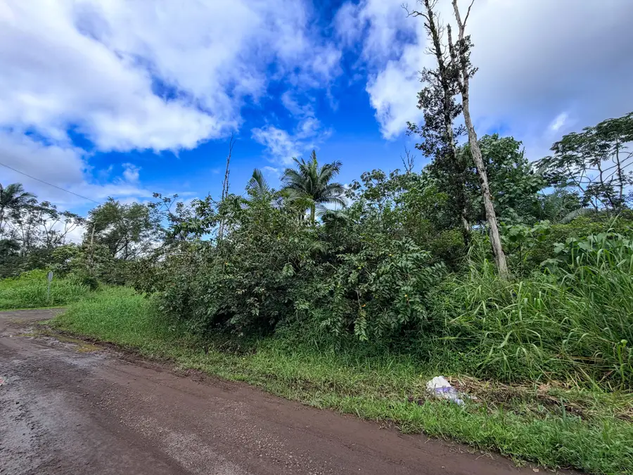 38th Ave, Kurtistown, HI 96760 - #3