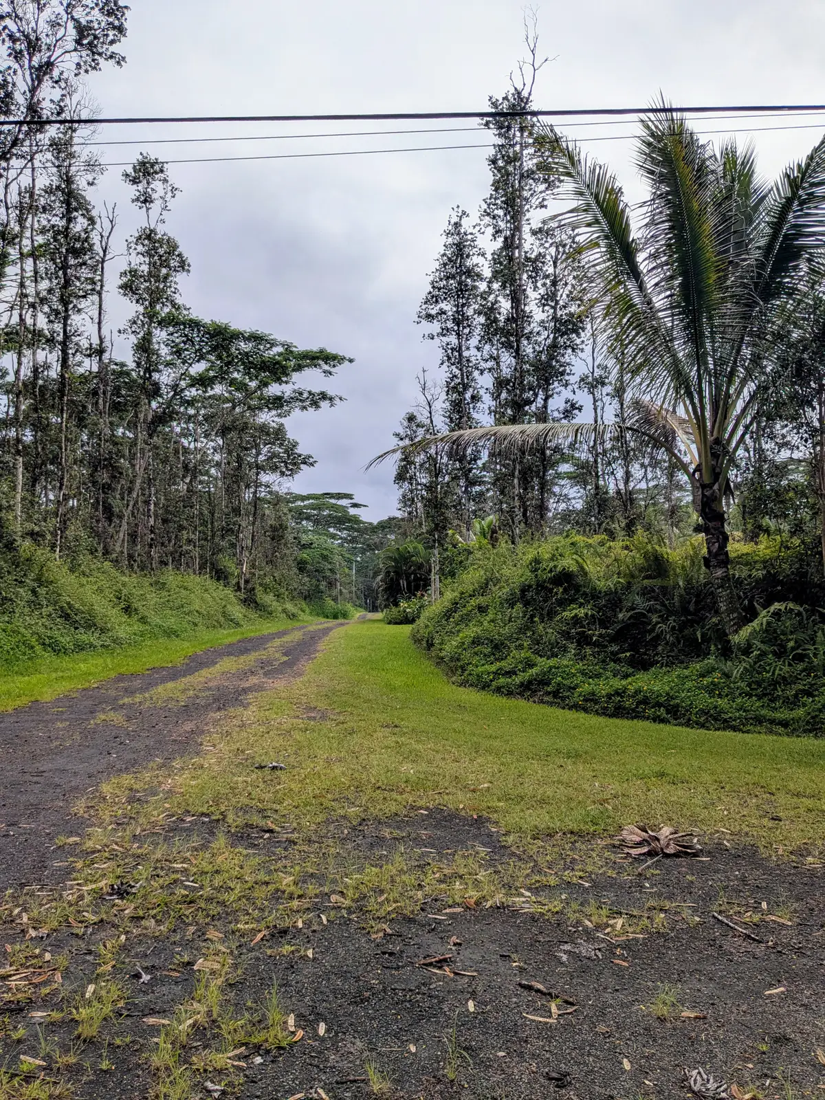 Puna Rd, Pahoa, HI 96778 - #1