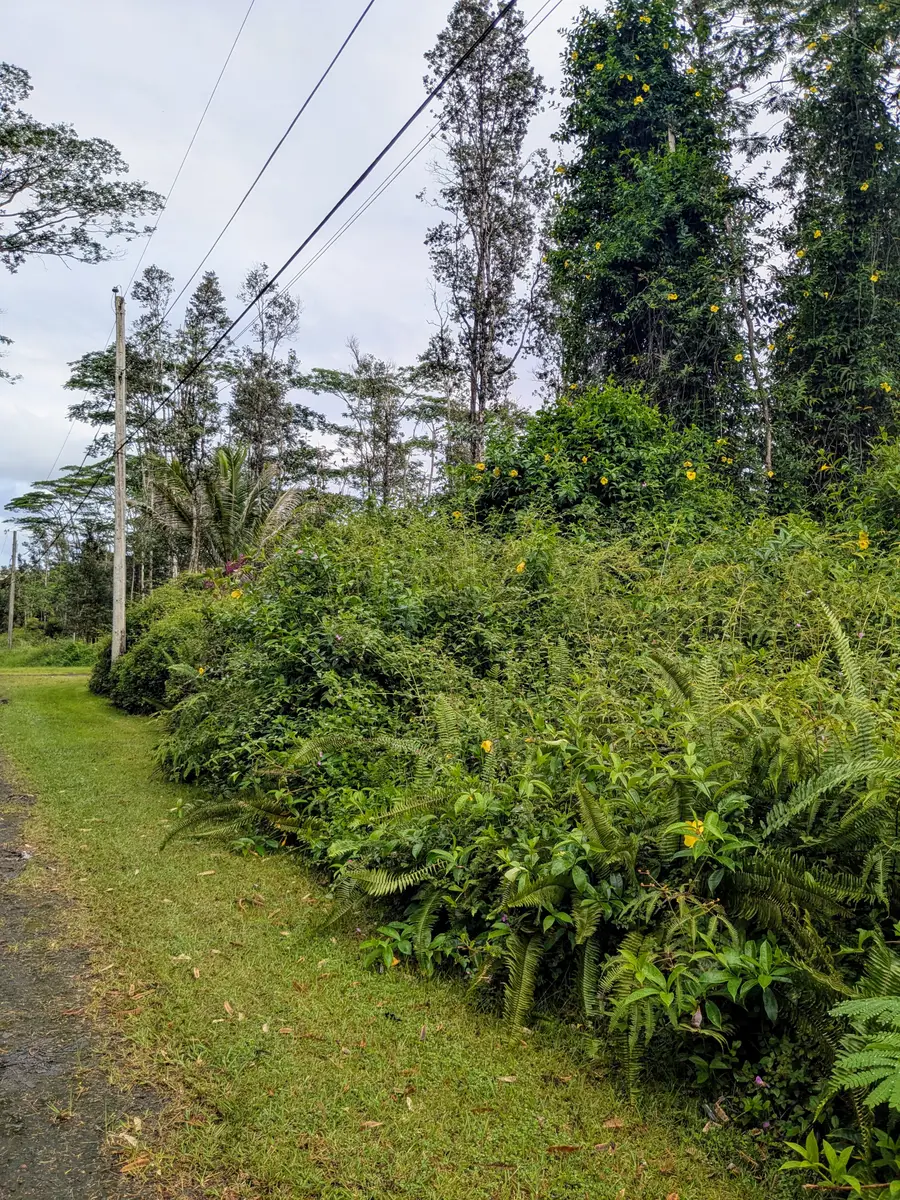 Puna Rd, Pahoa, HI 96778 - #2