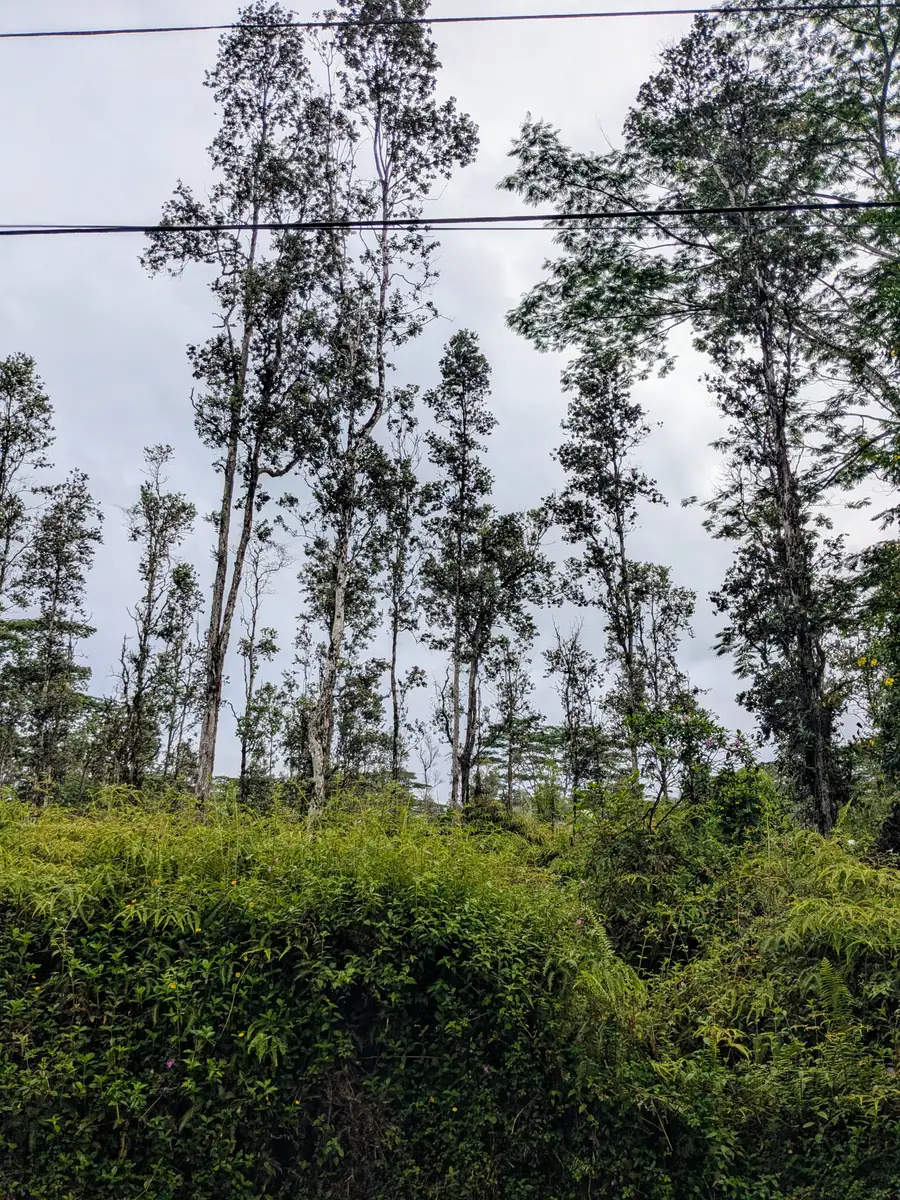 Puna Rd, Pahoa, HI 96778 - #3